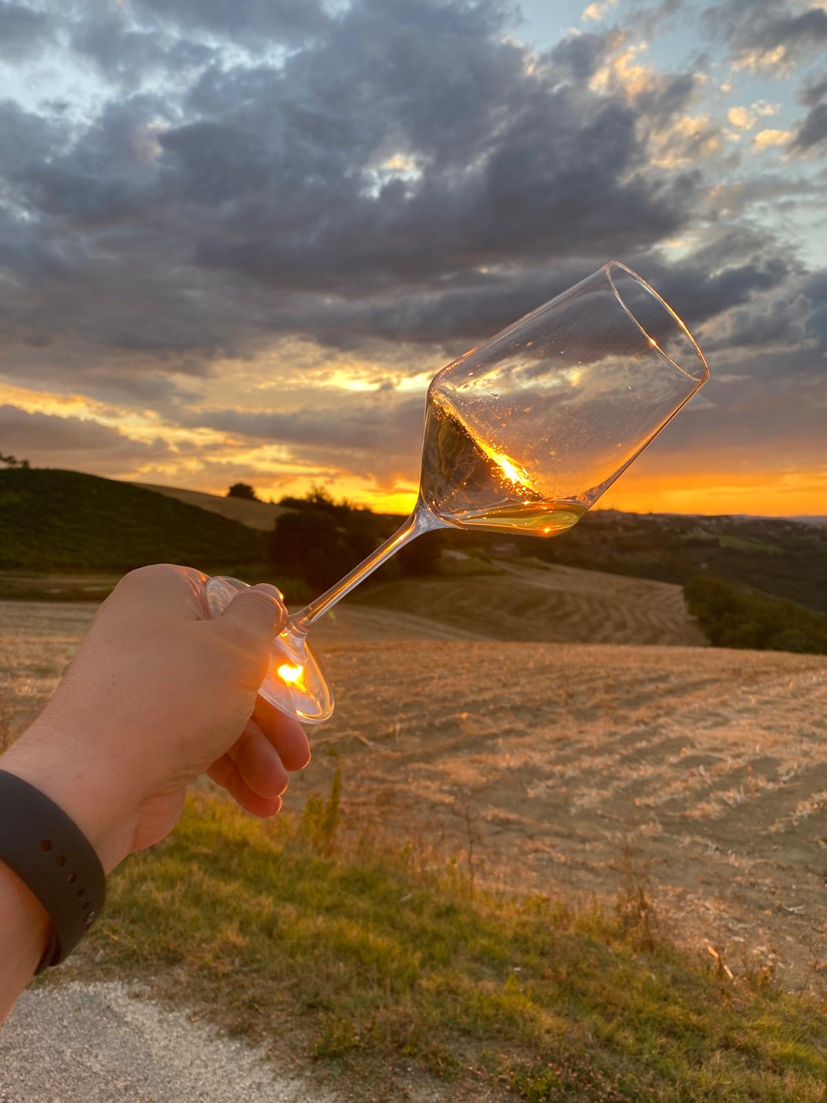 Vino al tramonto